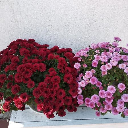 12 Месяцев Мини-отель Одесса Экстерьер фото